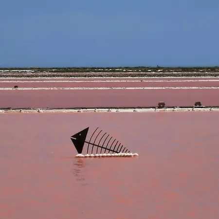 Joli Studio A Gruissan, Piscine, 200m De La Plage *